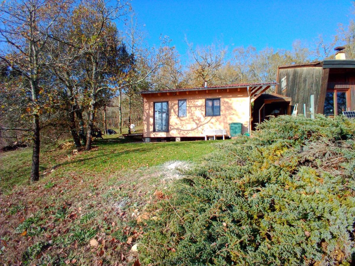 Maison Dans Un Ecrin De Verdure Saint-Leon-sur-Vezere Extérieur photo
